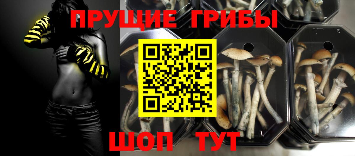 Галлюциногенные грибы Cubensis  Псилоцибиновые грибы Psilocybe  Ревда  Вход с VPN 
