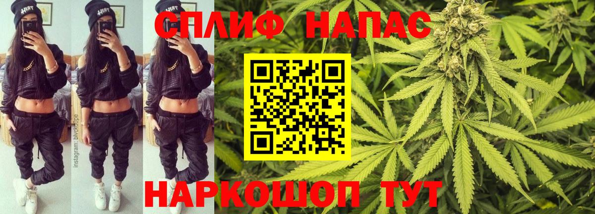 Канабис сатива Ревда